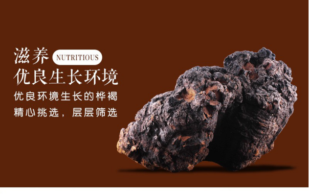 三高的天敵-樺褐靈芝您知道嗎？